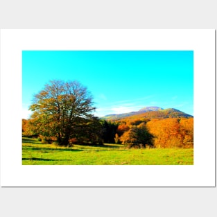 Beautiful scenery with green meadow, sprawling tree and mountains covered by autumn colored forests Posters and Art